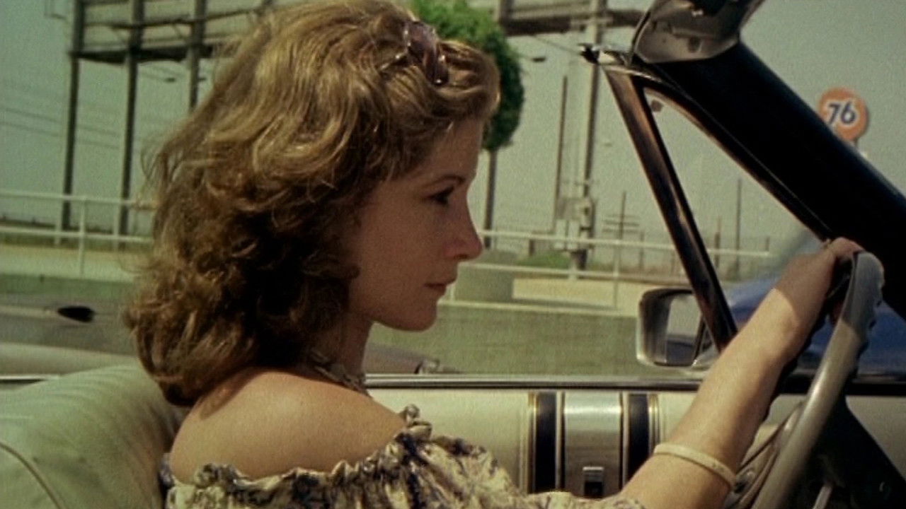 Do You Remember Laurie Zimmer? backdrop