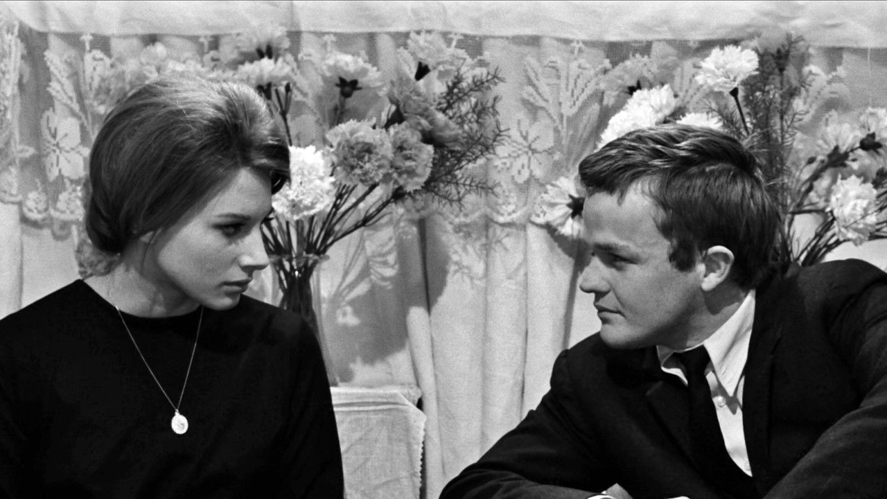 Fists in the Pocket backdrop