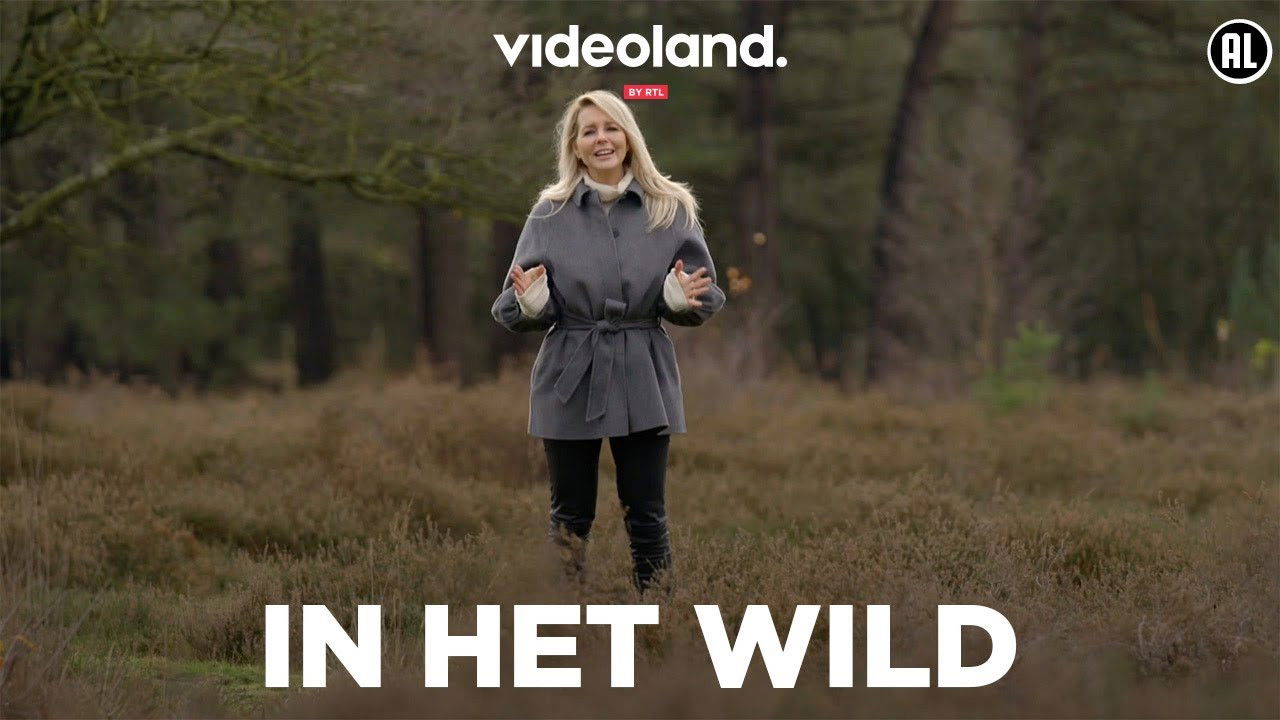 In Het Wild backdrop