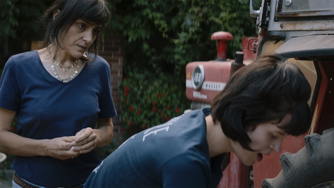 November Fog backdrop