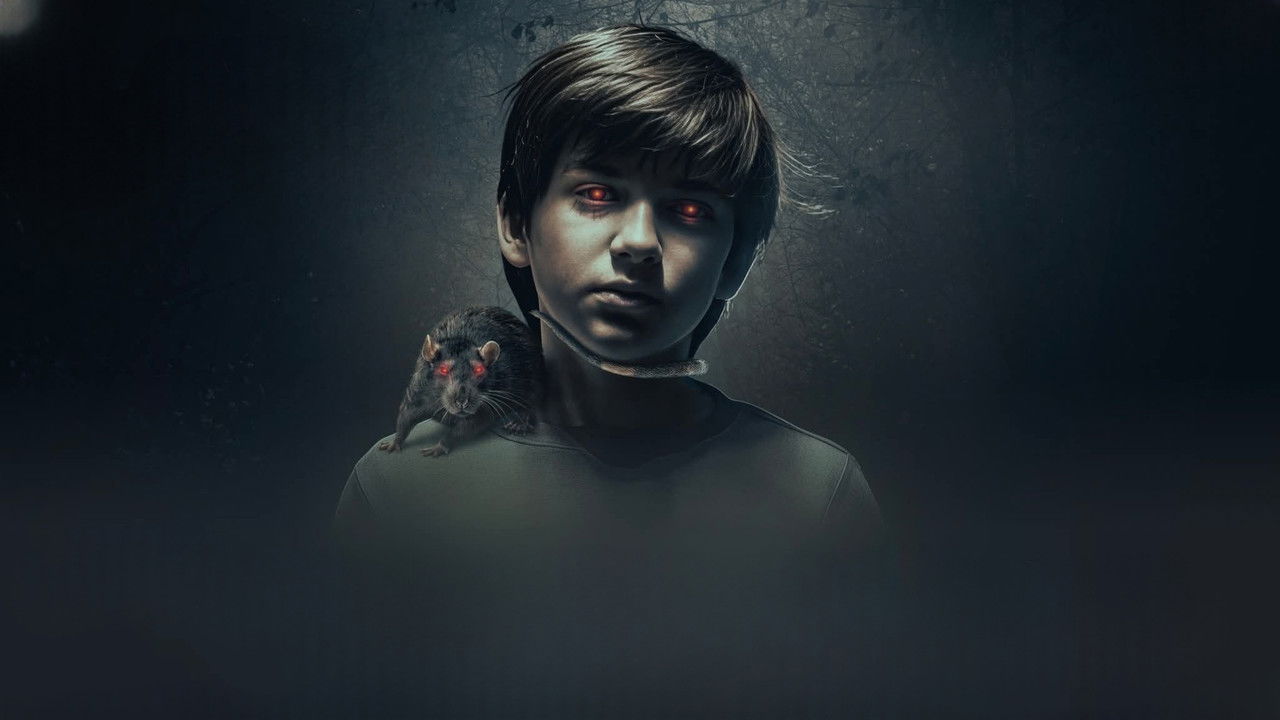 The Confession backdrop