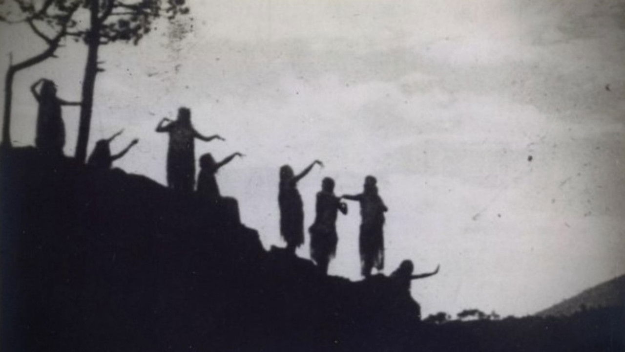 Lily of Life backdrop