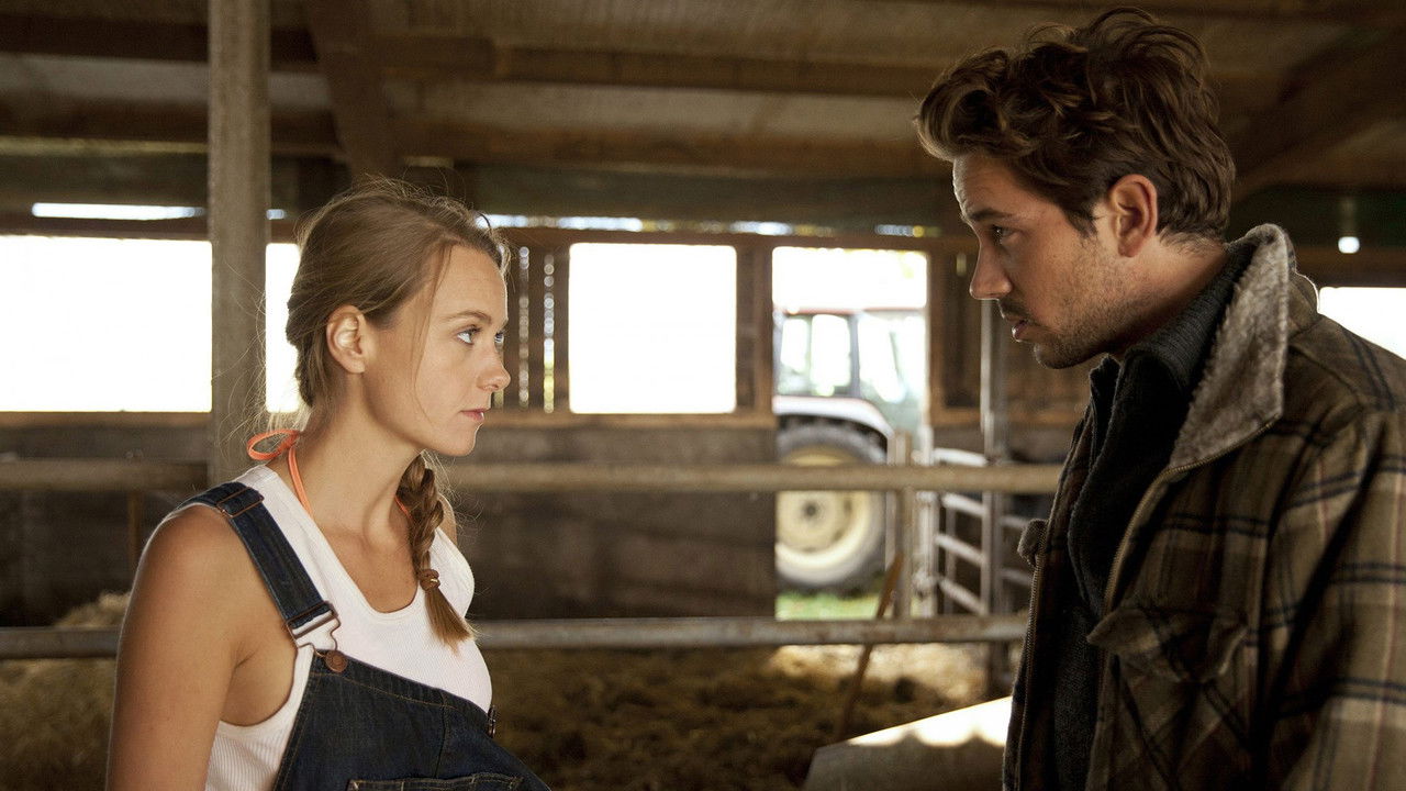 Die Büffel sind los! backdrop