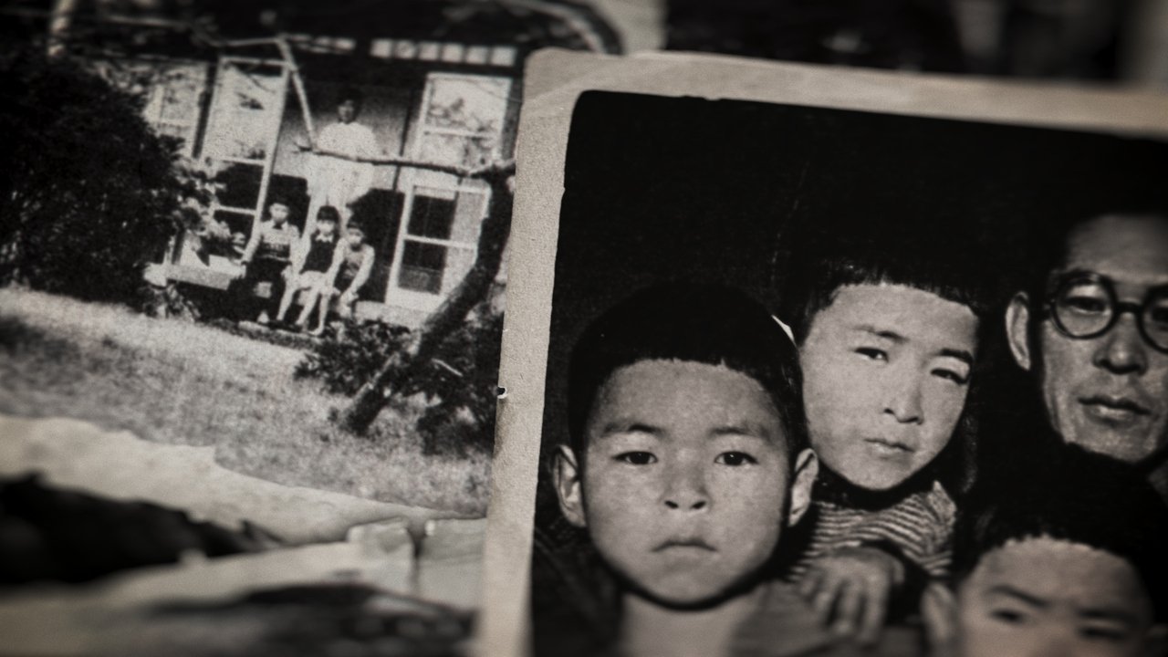 Miyazaki, Spirit of Nature backdrop