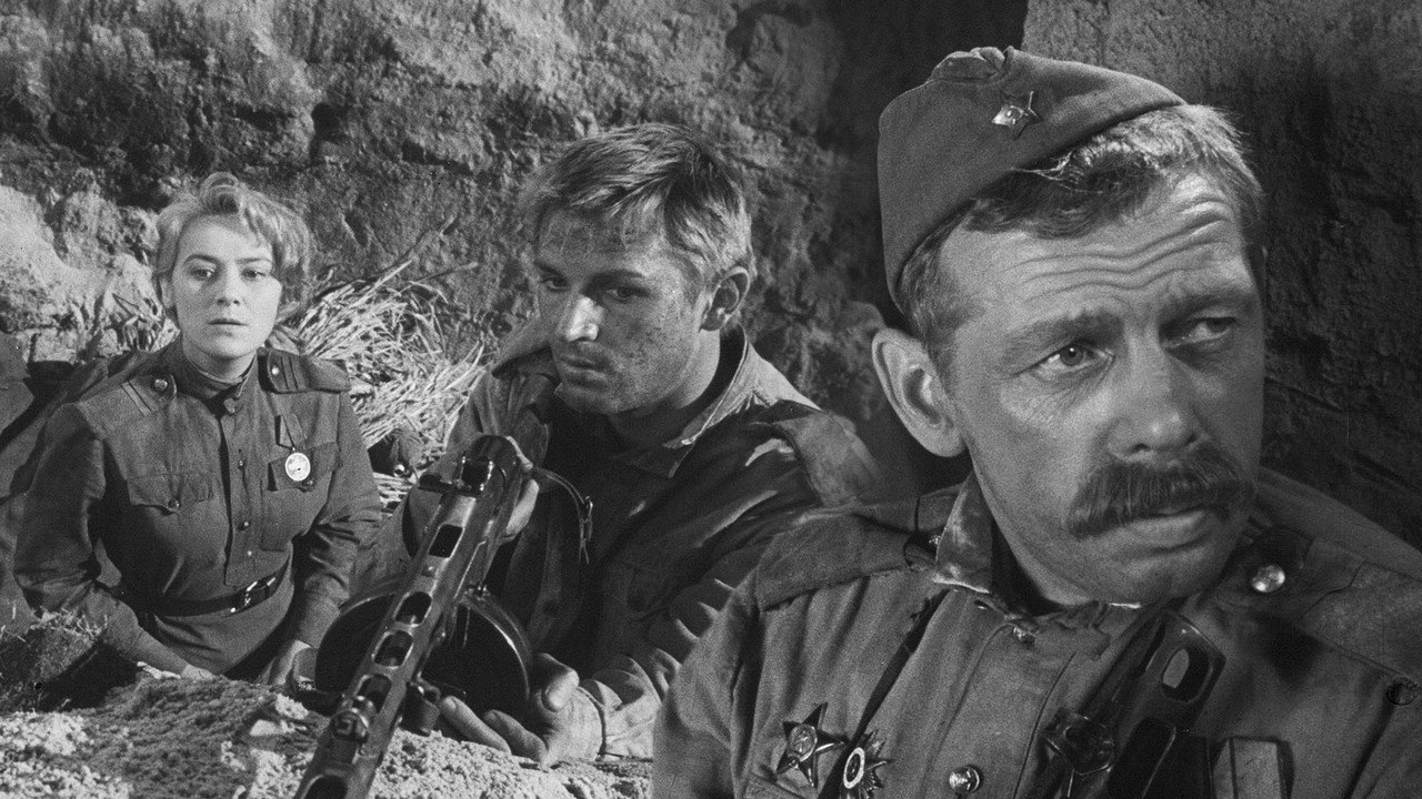 The Third Flare backdrop