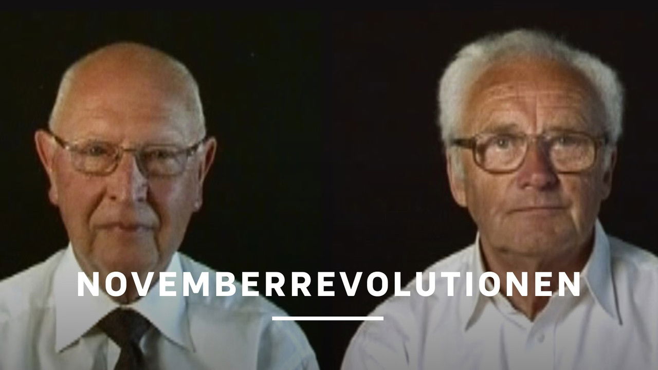 Novemberrevolutionen backdrop