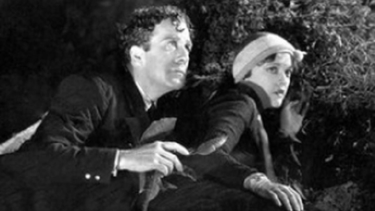 Passport to Paradise backdrop