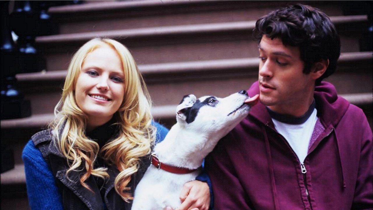 Heavy Petting backdrop