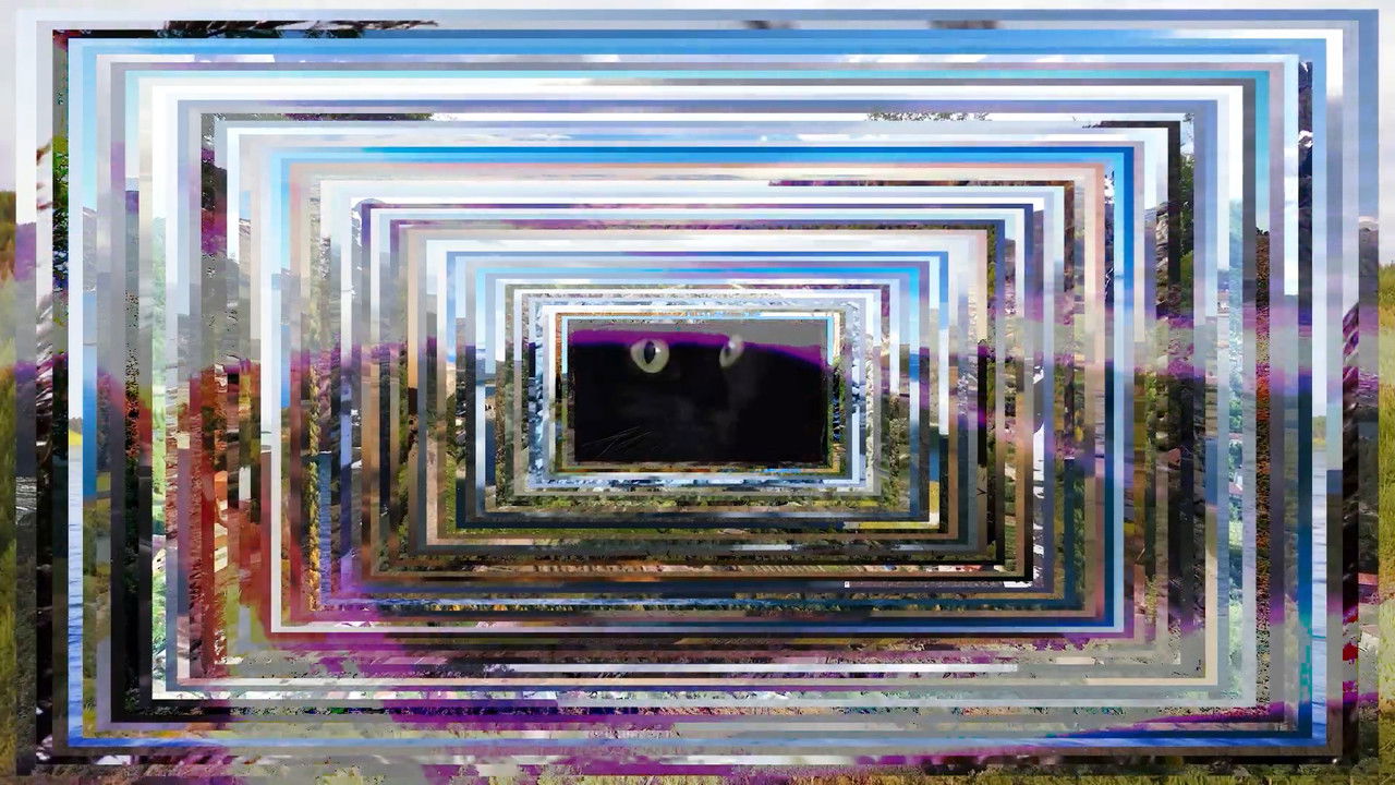 -Pursuit.Imo.Dolio.: Da Briciola a Pane backdrop