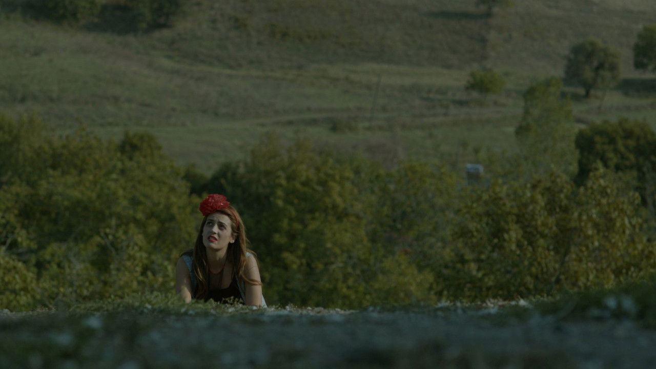 The Seagull backdrop