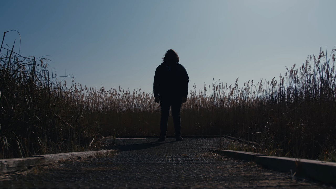 The Caricature: Requiem backdrop