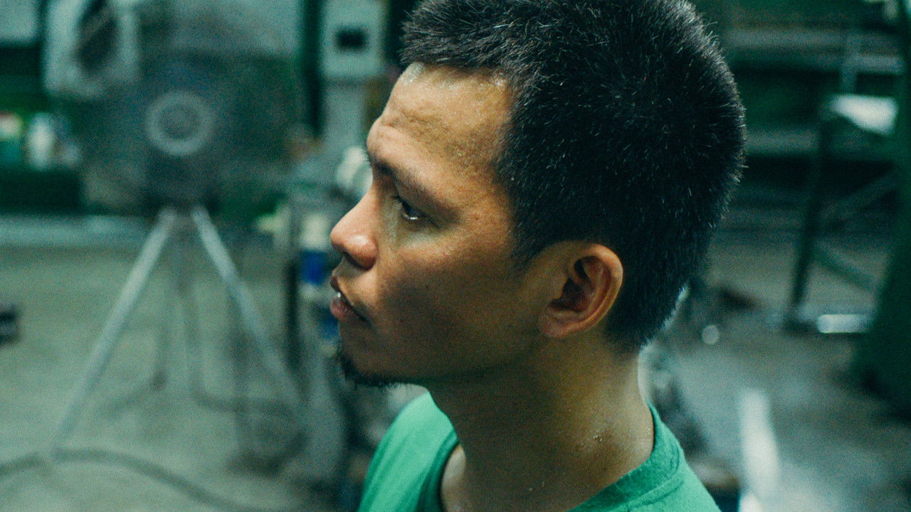 What Did the Sky Tell You, Celso? backdrop