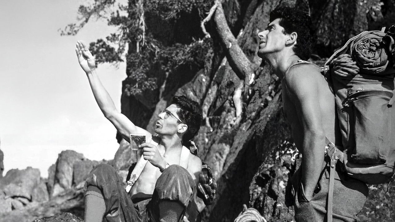 The Ravier Brothers - The Pyrenees Adventure backdrop