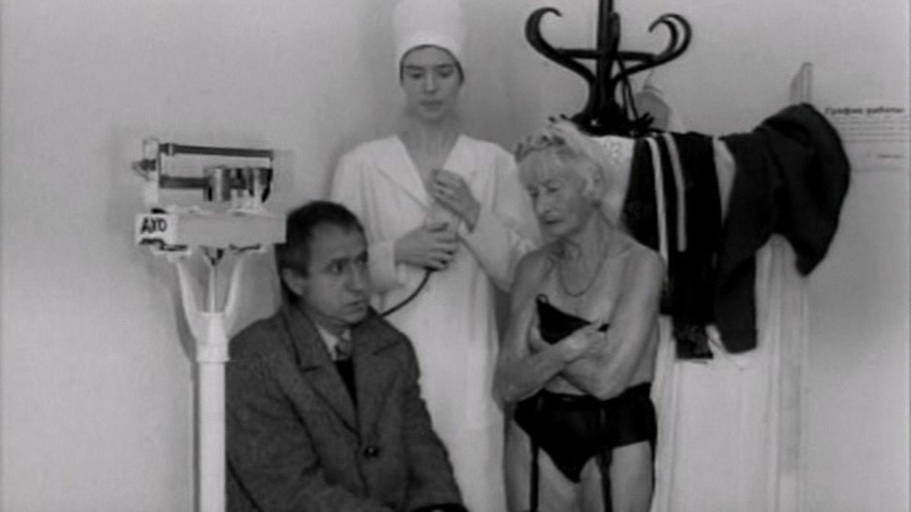 The Certificate backdrop