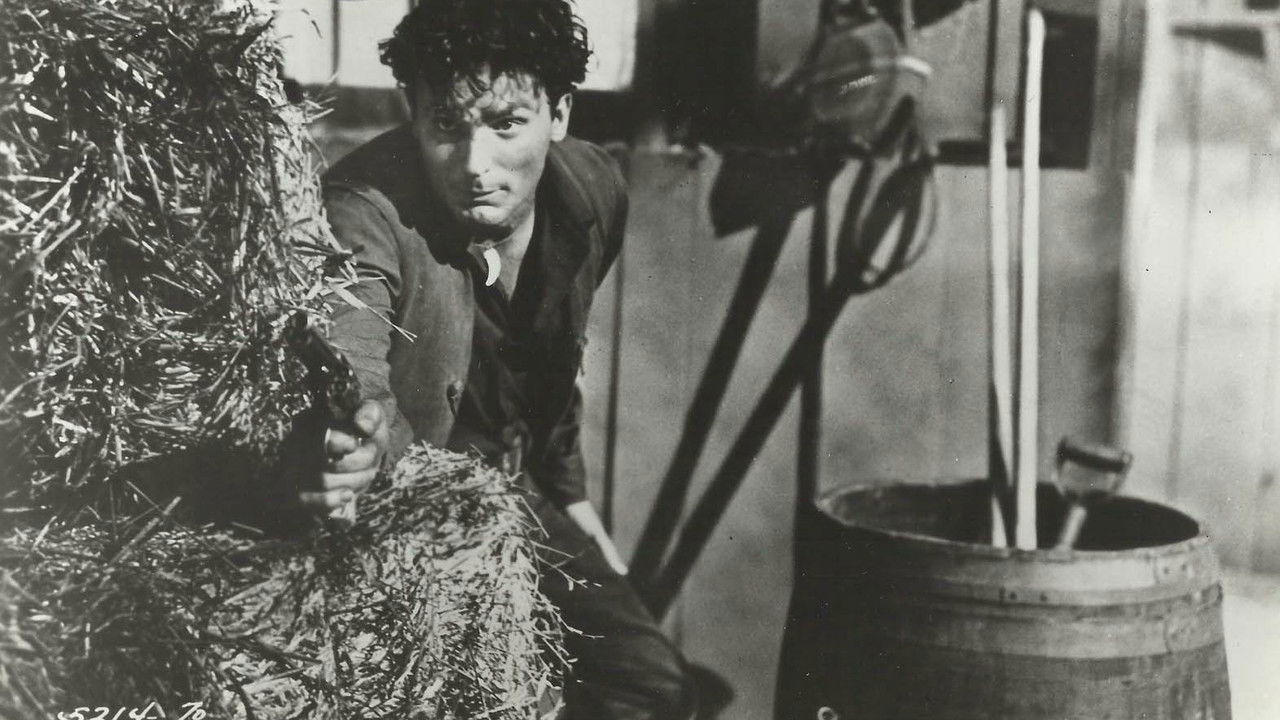 Son of Belle Starr backdrop