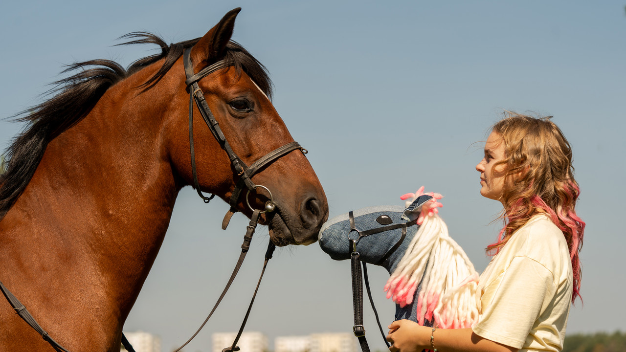 Pferd am Stiel backdrop