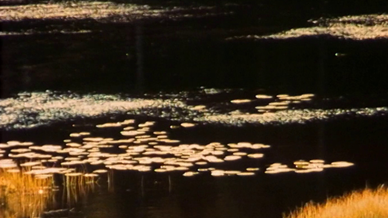 My Eye Is Reflecting backdrop