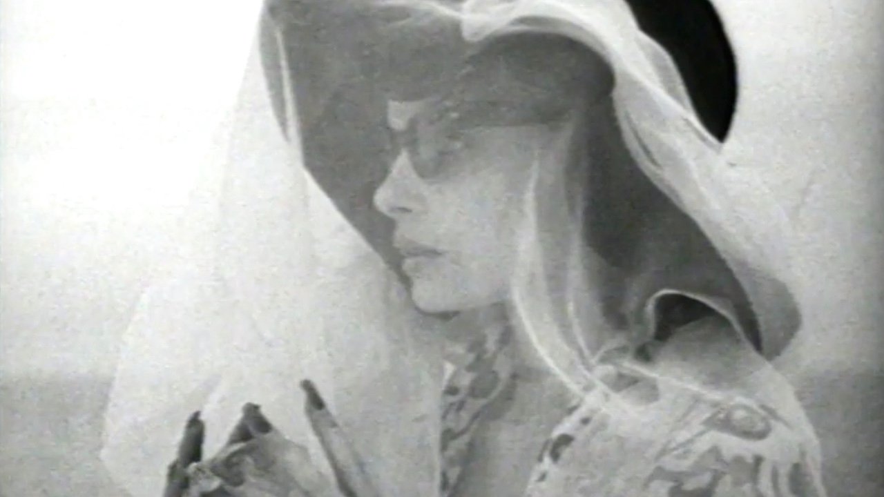 The Houseguest backdrop