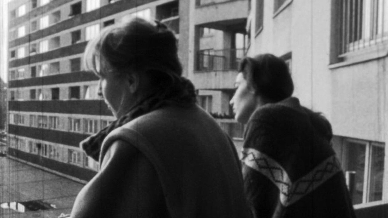 The Warm Money backdrop