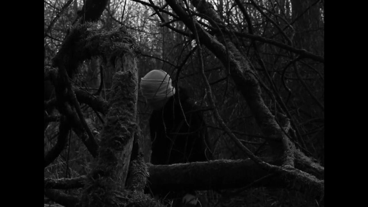 Paradise Lost backdrop