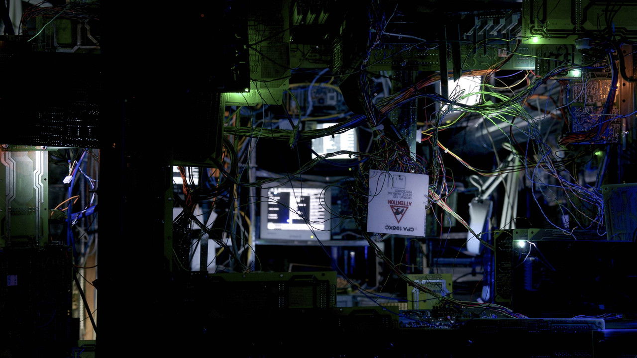 Quantum Suicide backdrop