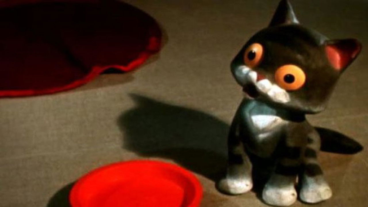 Why Did the Kitten Go Away? backdrop