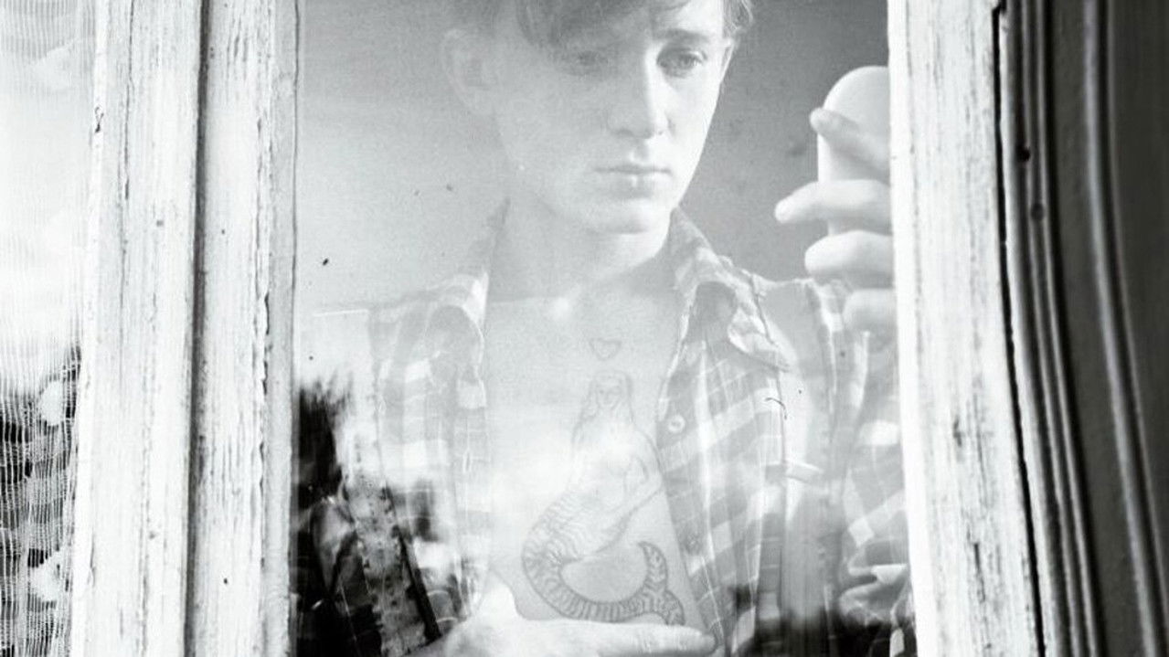 Daisy Petal Game backdrop