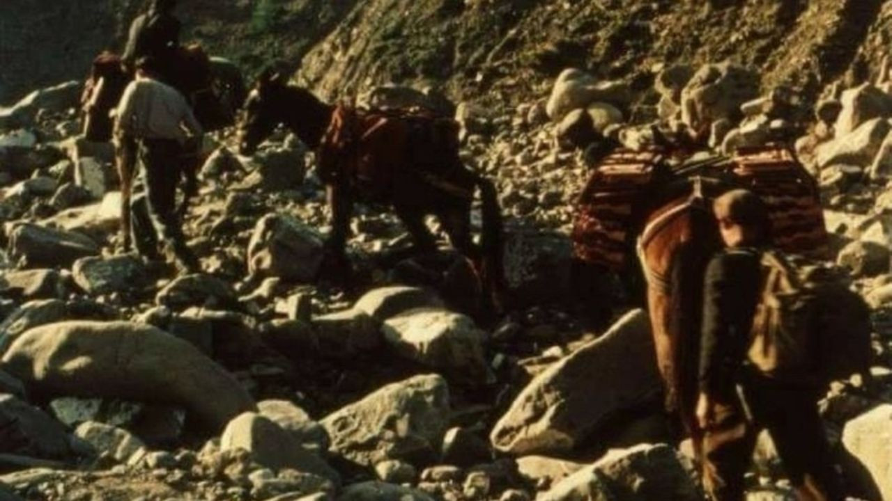 La Sicilia rivisitata backdrop