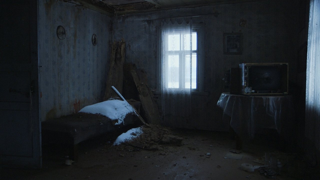 Latvian Coyote backdrop