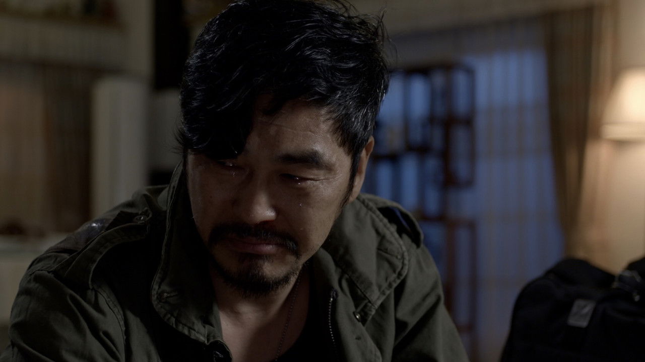 Dogs in the House backdrop