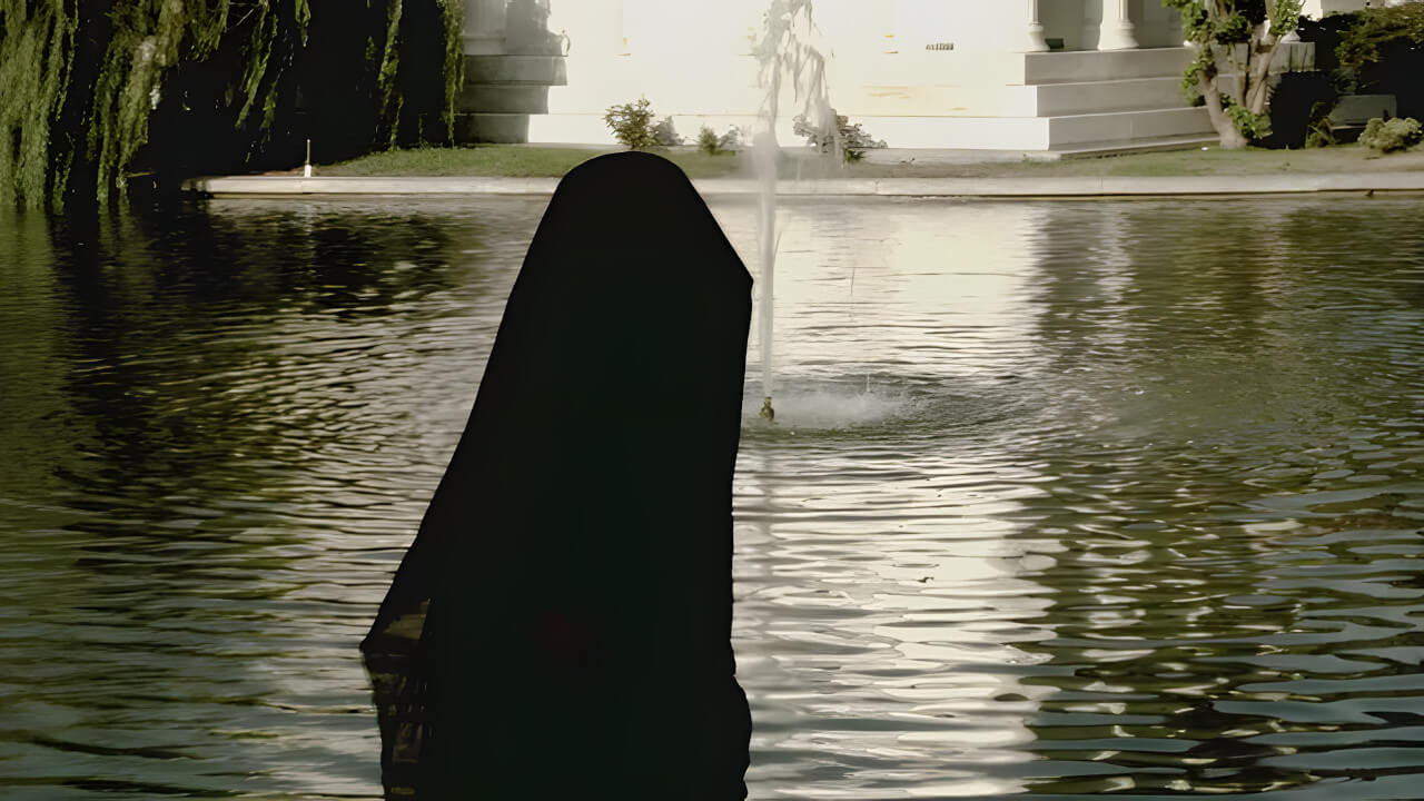 Silent Life: The Story of the Lady in Black backdrop