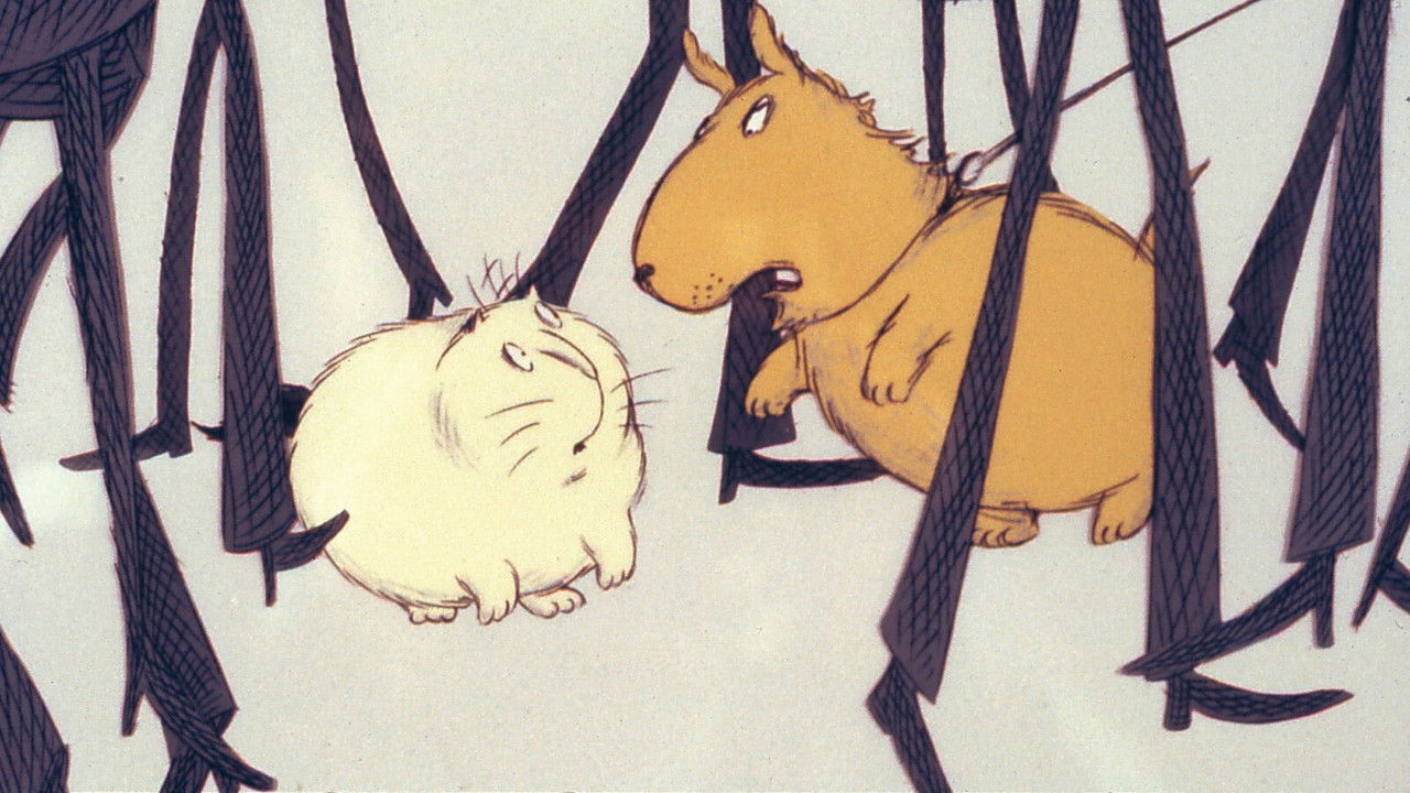 The Apartment Cat backdrop