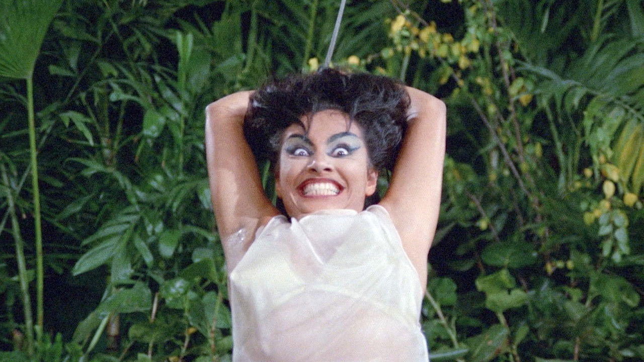 Six She's and a He backdrop