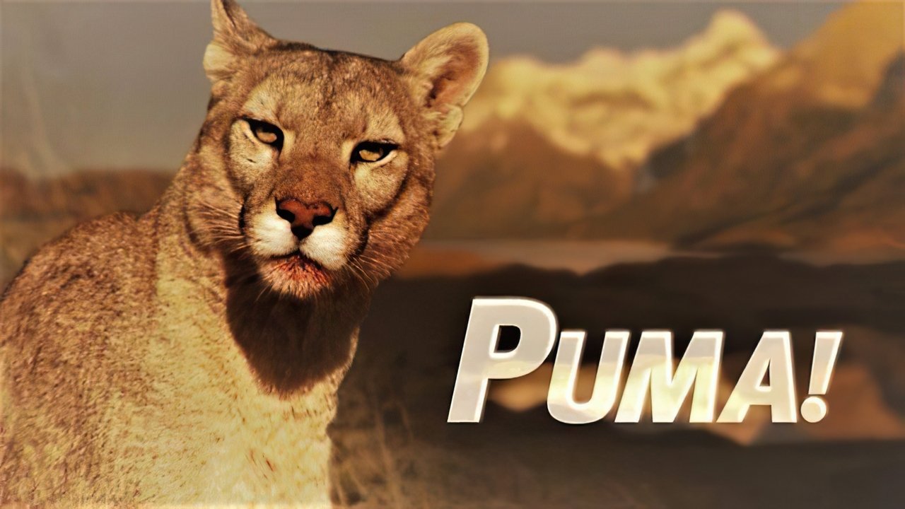 Puma! backdrop