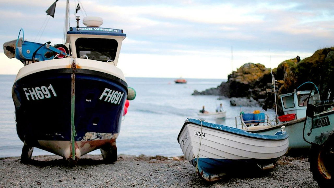 The Fisherman's Apprentice with Monty Halls backdrop