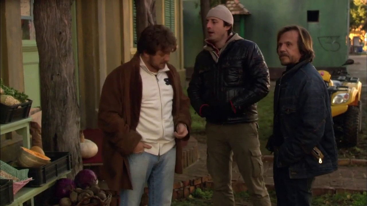 Storks in the Fog backdrop