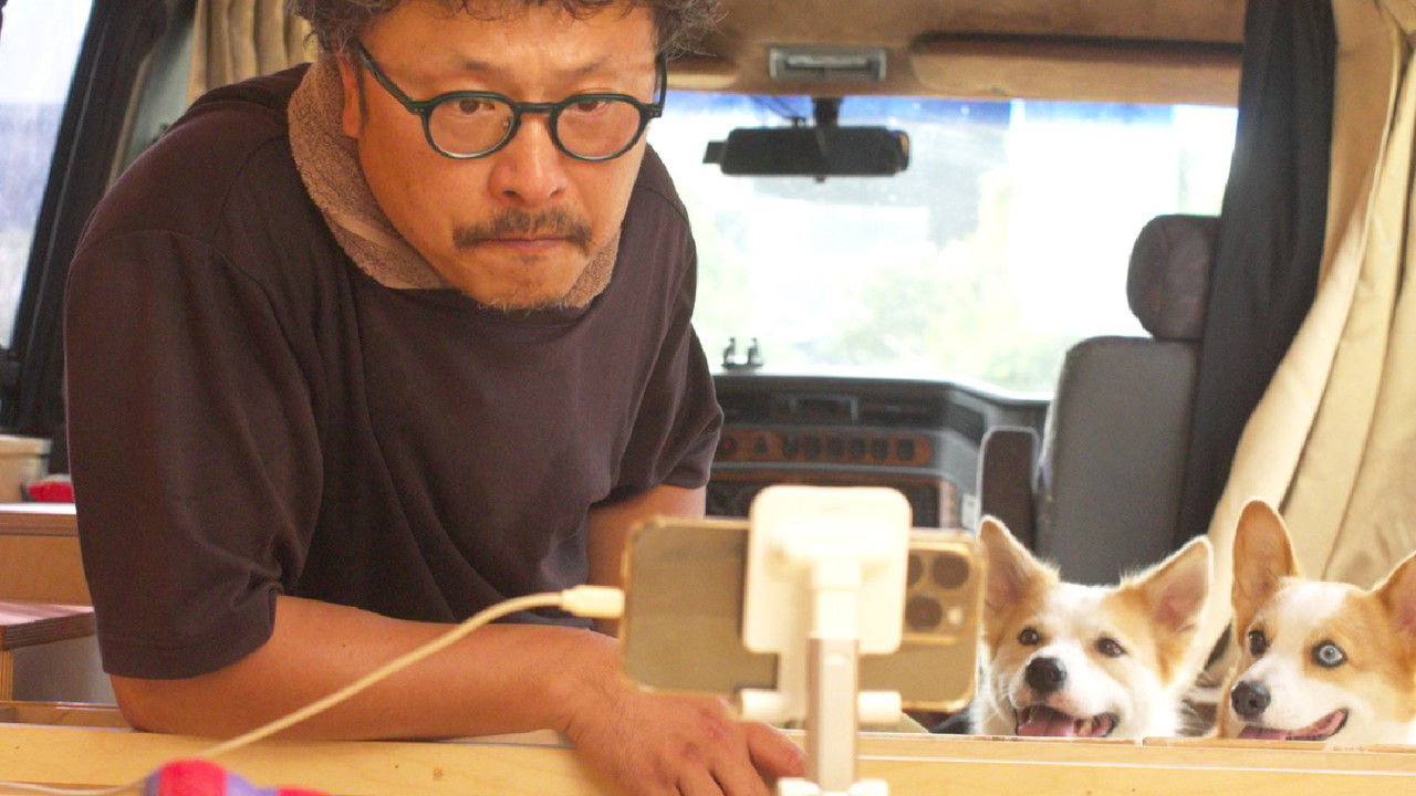 Norwegian Mackerel backdrop