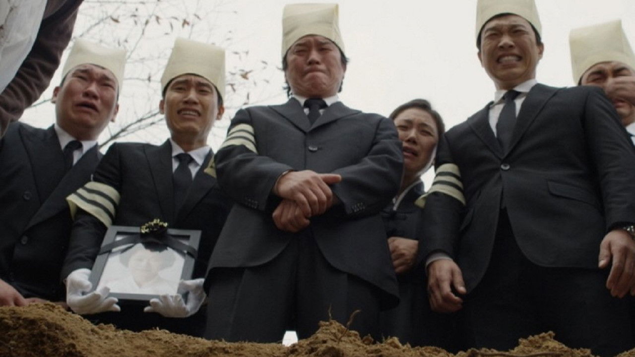 Dutiful Son backdrop