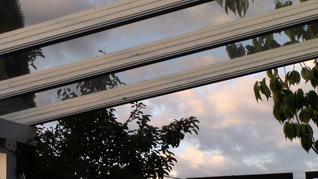 Bad Frequencies backdrop