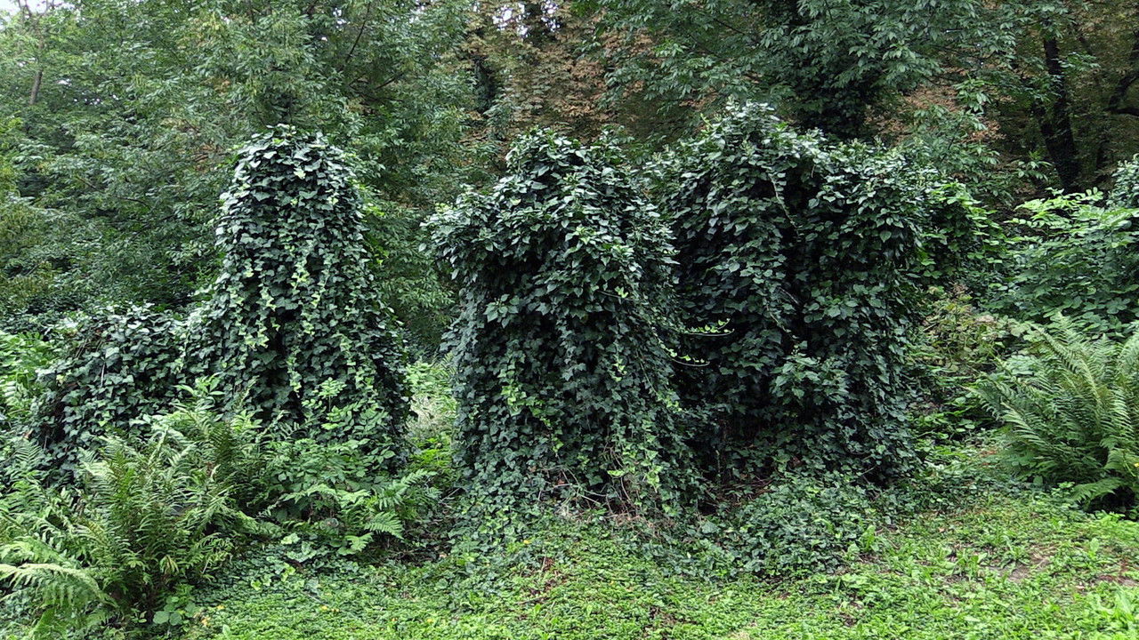 Above Us Only Sky backdrop