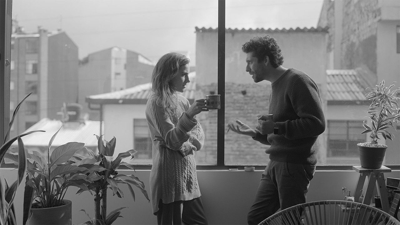 The Subtitles backdrop