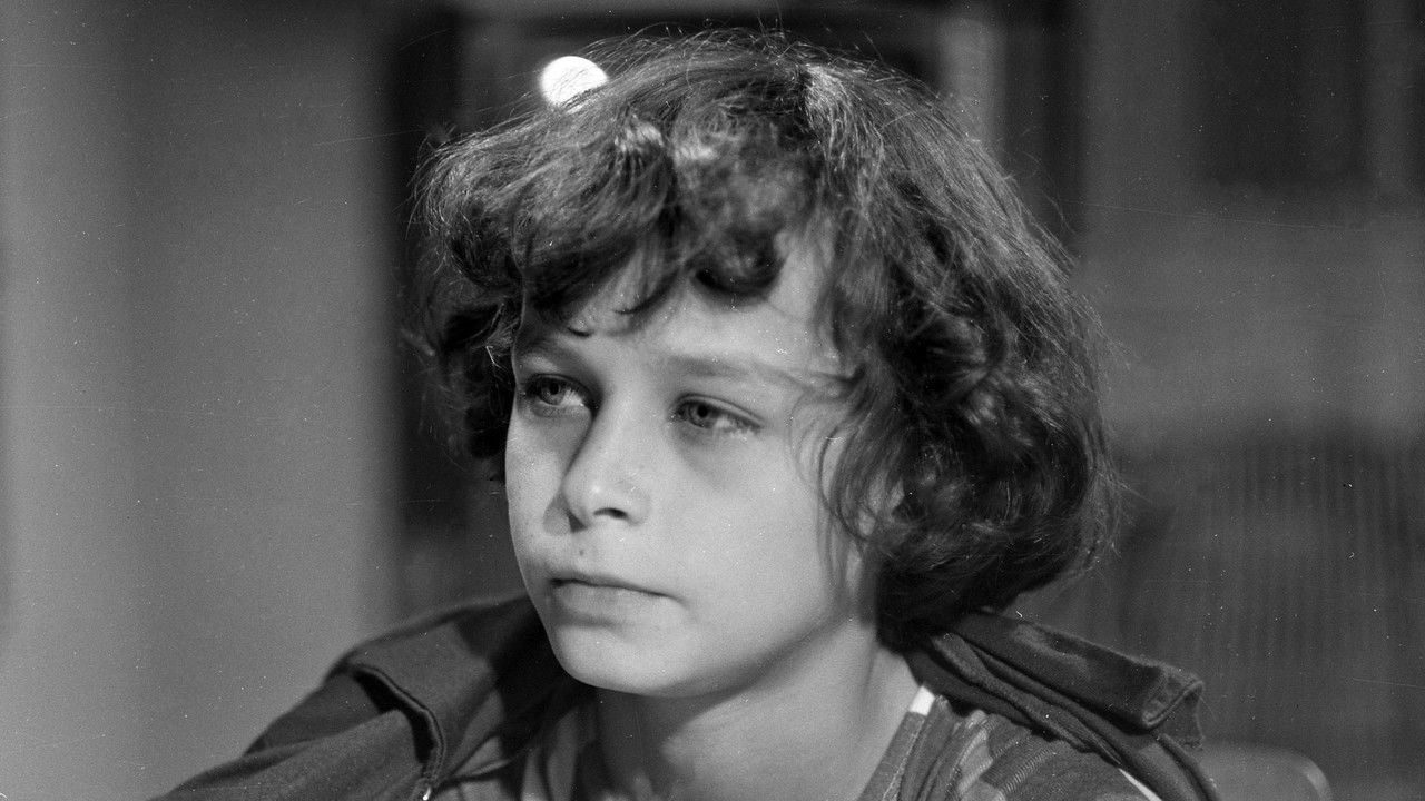 Bílí jeleni backdrop