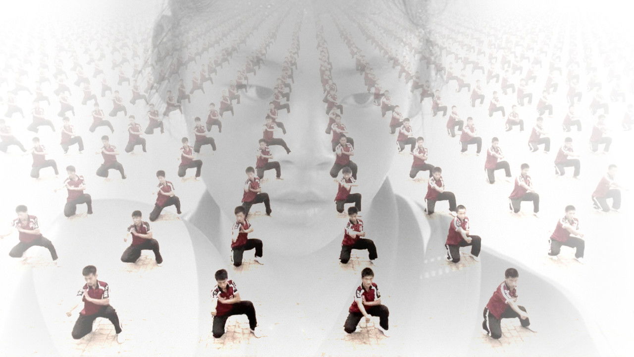 Dragon Girls backdrop