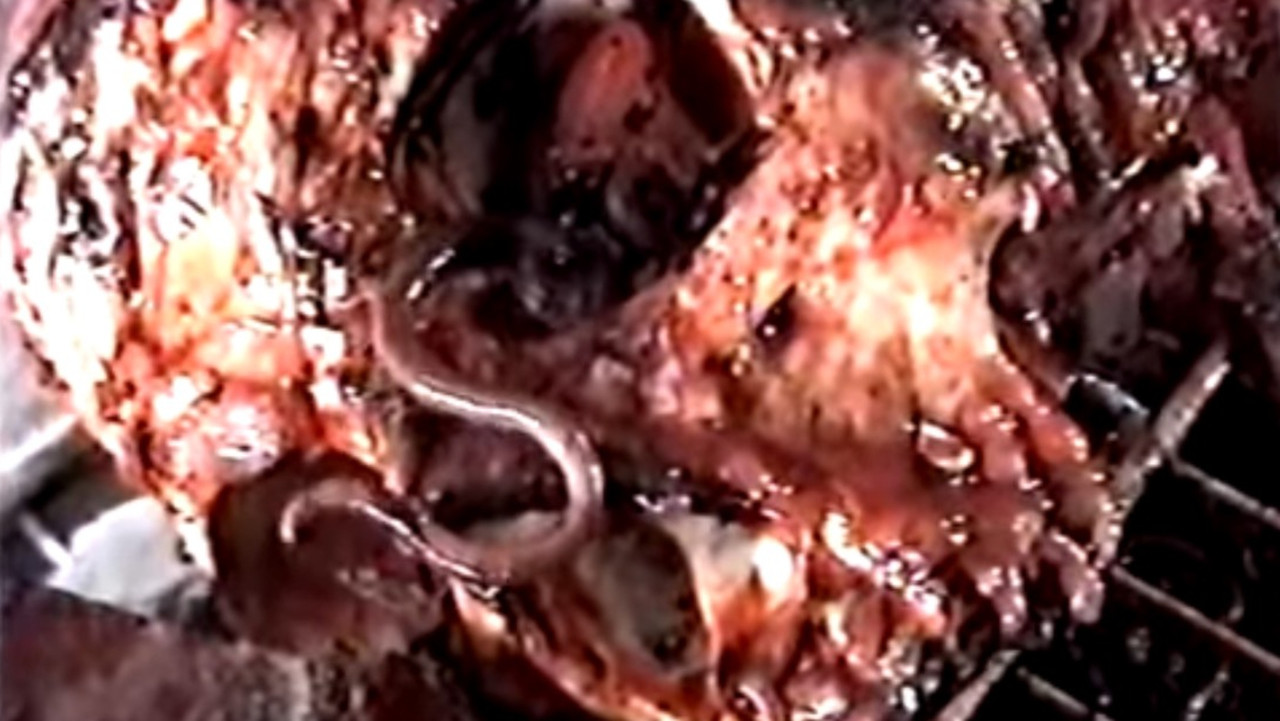 Harvest Brood backdrop