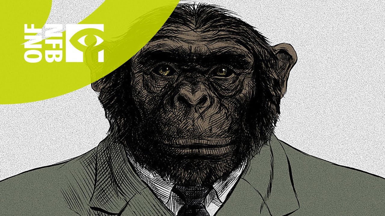 From the Big Bang to Tuesday Morning backdrop