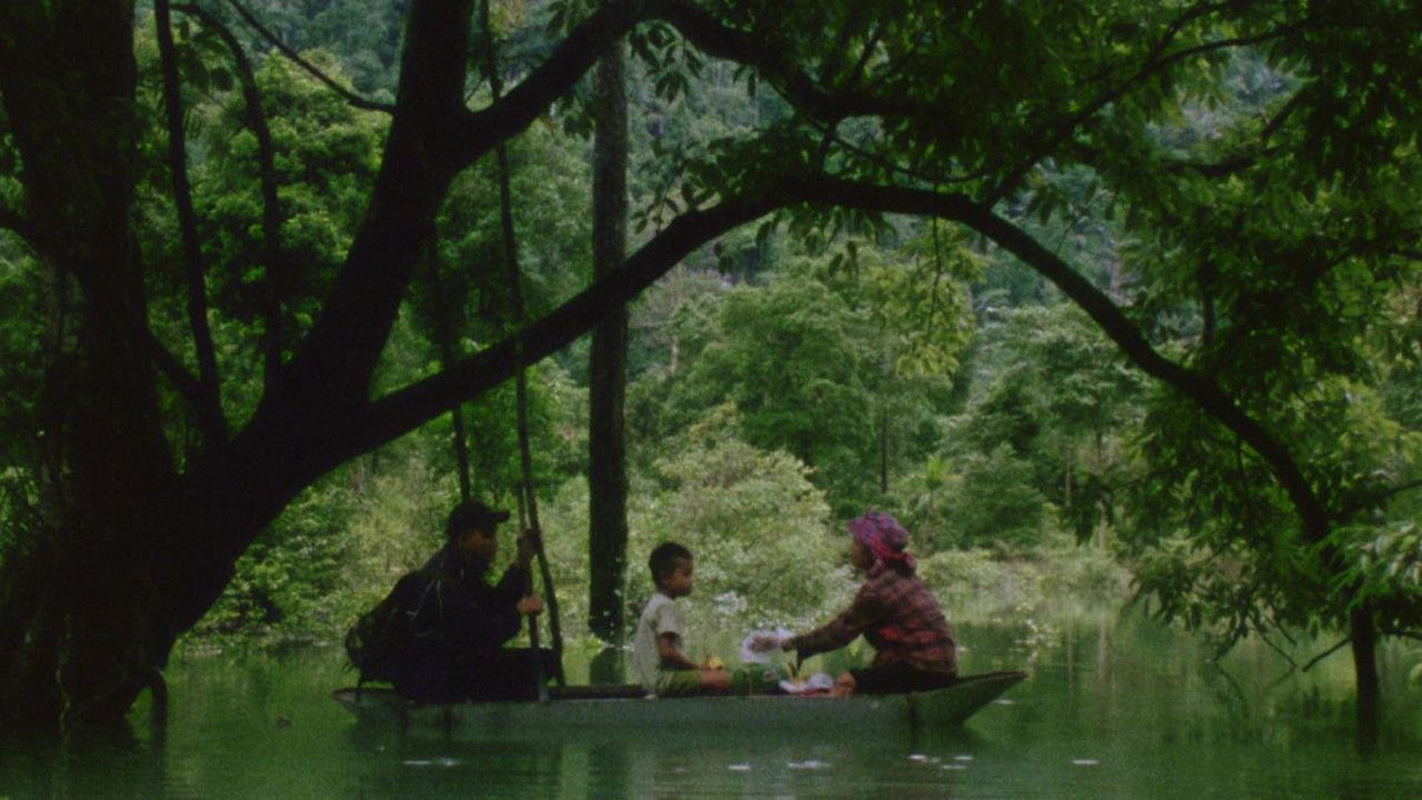Hair, Paper, Water... backdrop