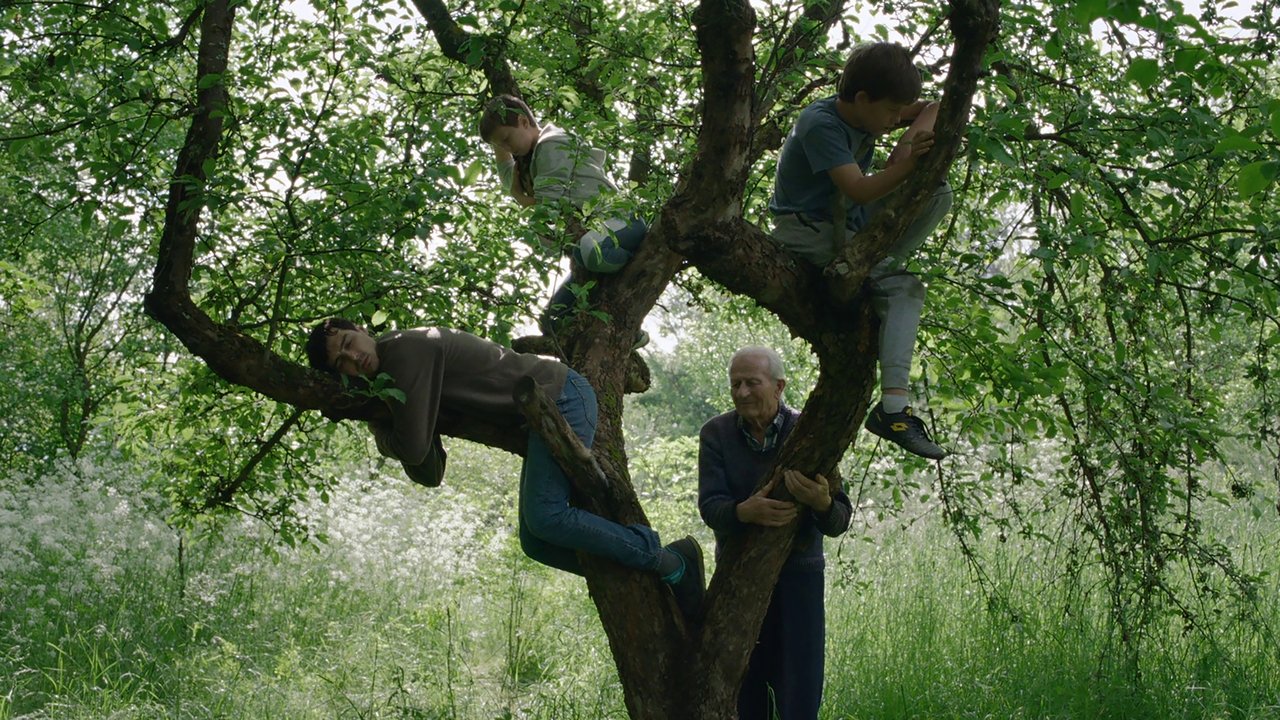 Wind, Talk to Me backdrop