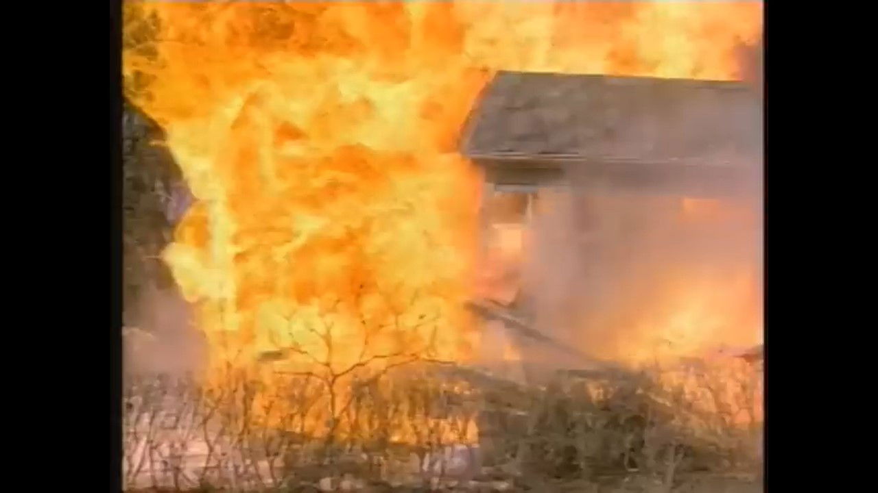 C.A.T. Squad backdrop