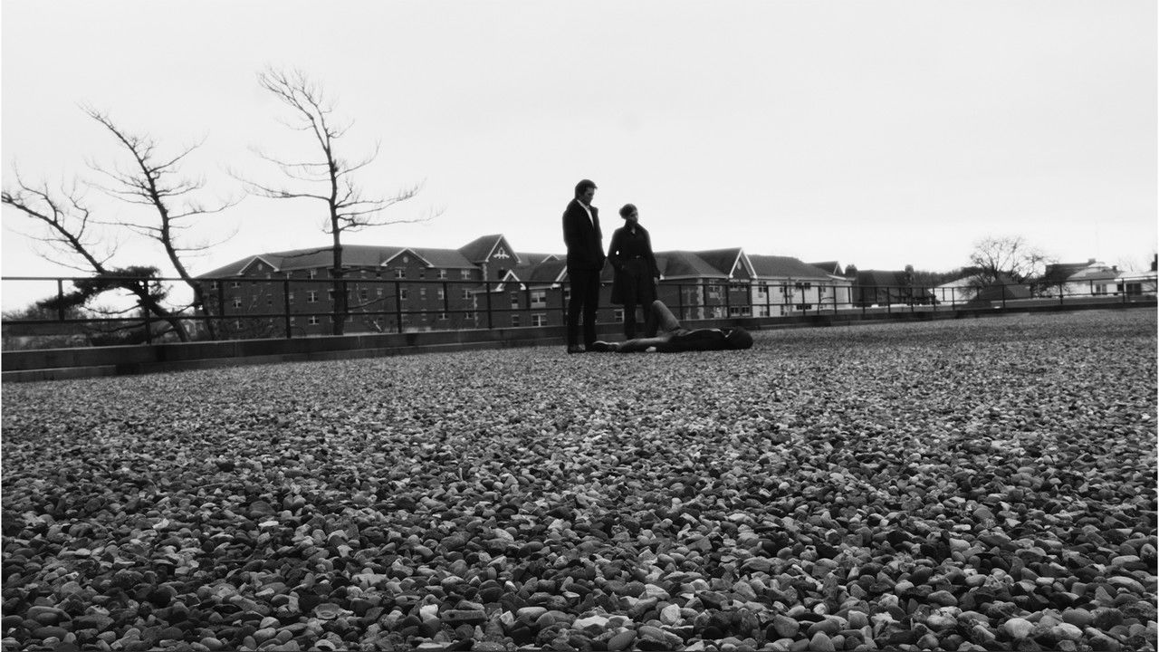 Last Night in Urbana backdrop