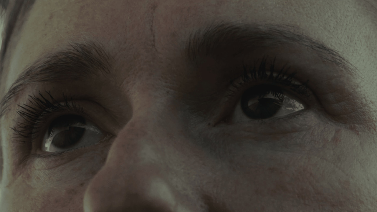 The Border at Tolstoi backdrop